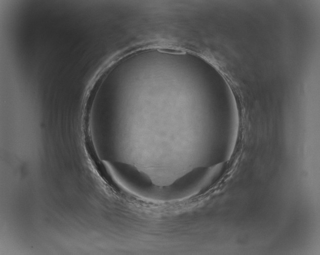 X0000074040007200608211530