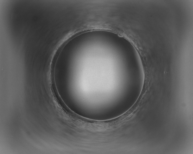 X0000074040008200608211530