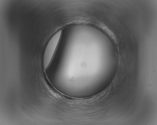 X0000074040009200608211530