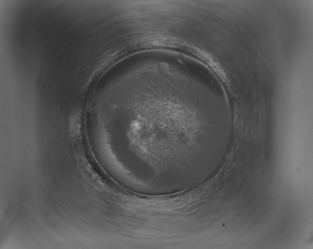 X0000074040010200608211530