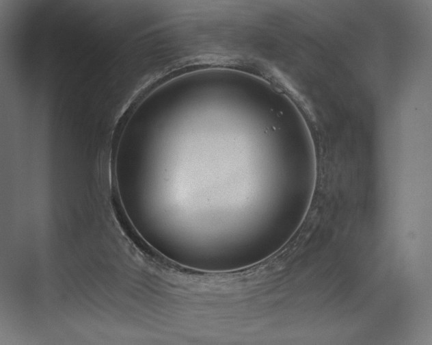 X0000074040011200608211530