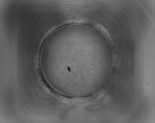 X0000074040012200608211530