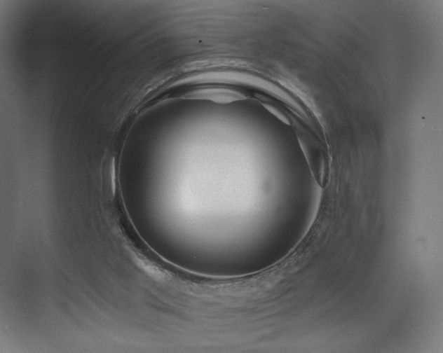 X0000074040013200608211530