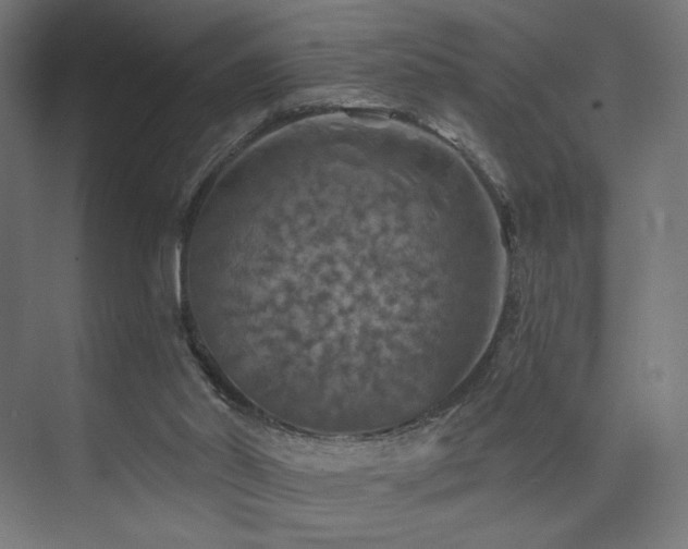 X0000074040014200608211530