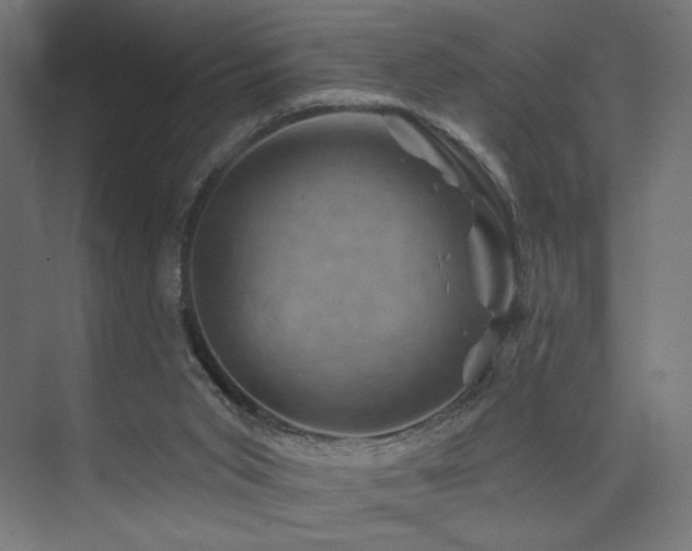 X0000074040015200608211530