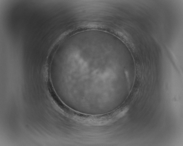 X0000074040016200608211530