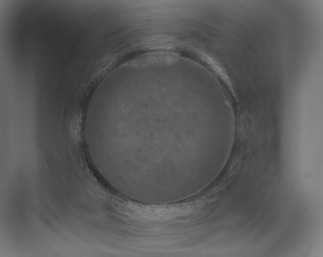 X0000074040018200608211530