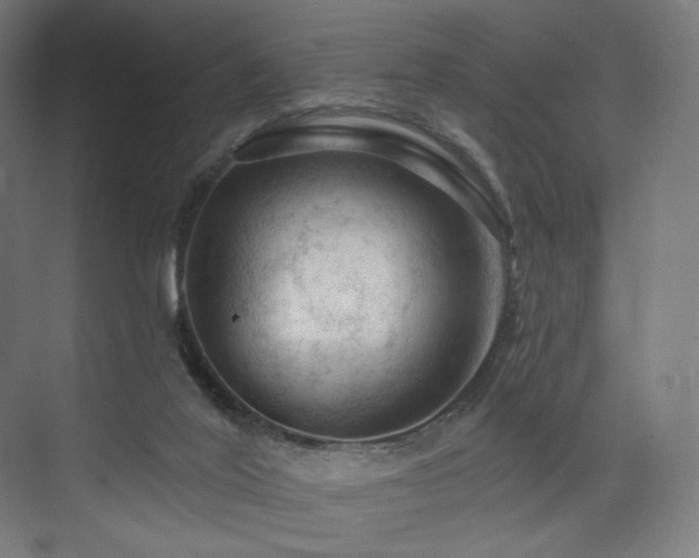 X0000074040020200608211530