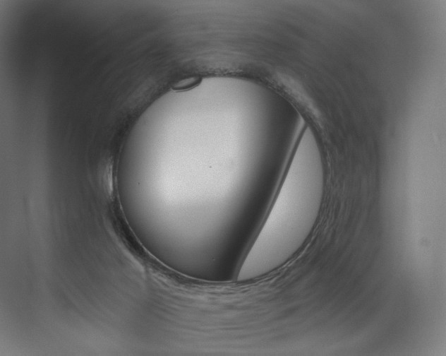 X0000074040021200608211530