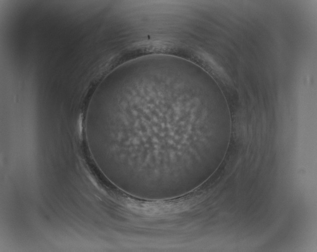 X0000074040022200608211530