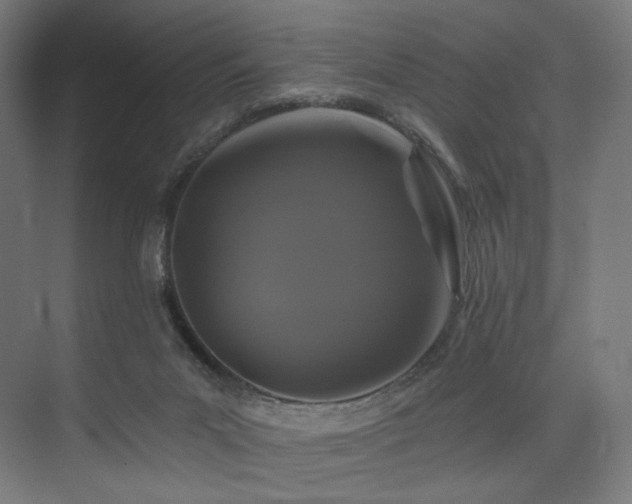 X0000074040023200608211530