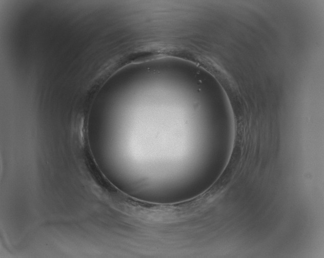 X0000074040024200608211530