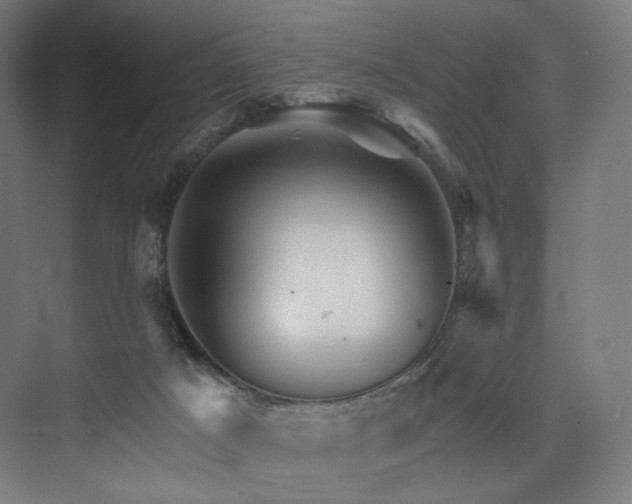 X0000074040025200608211530