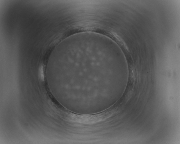 X0000074040026200608211530