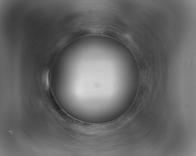 X0000074040028200608211530