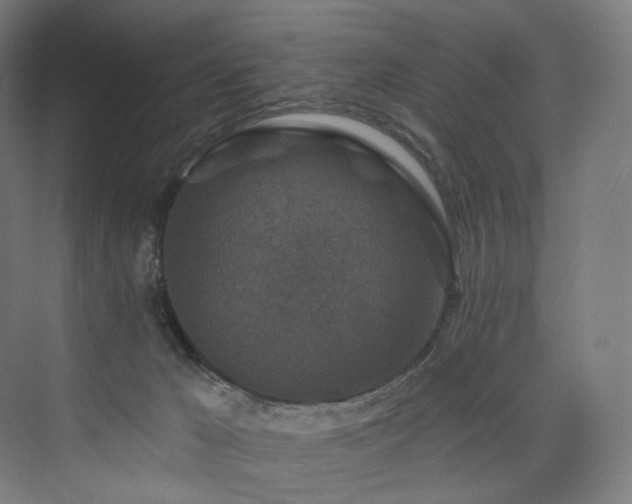 X0000074040029200608211530