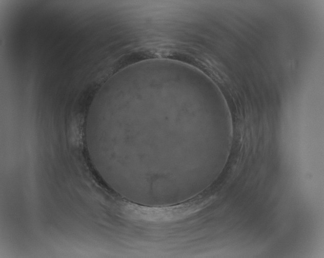 X0000074040030200608211530