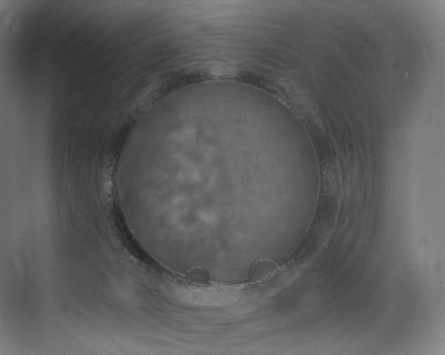 X0000074040032200608211530