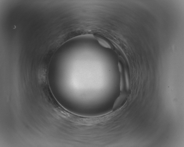 X0000074040033200608211530