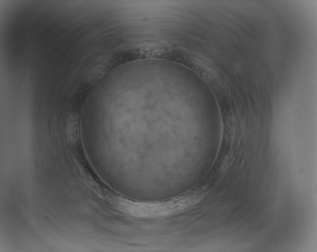 X0000074040034200608211530