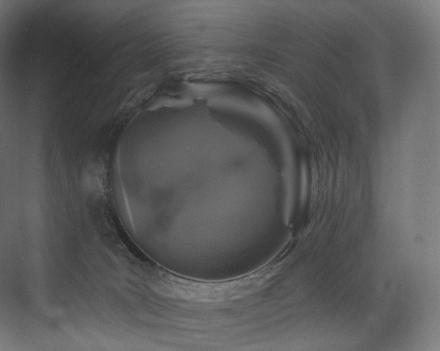 X0000074040035200608211530