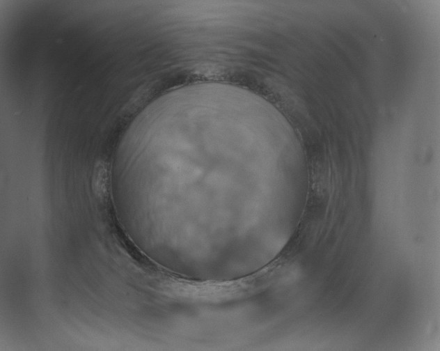 X0000074040036200608211530