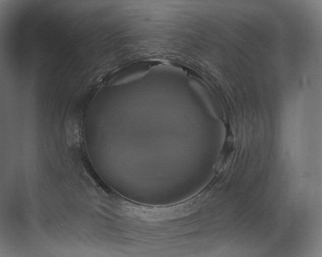 X0000074040039200608211530