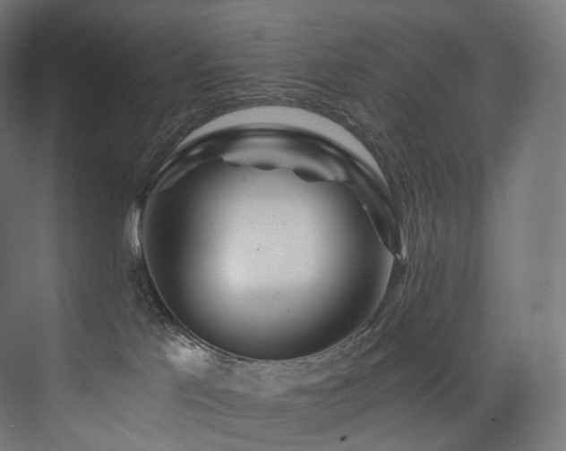 X0000074040041200608211530