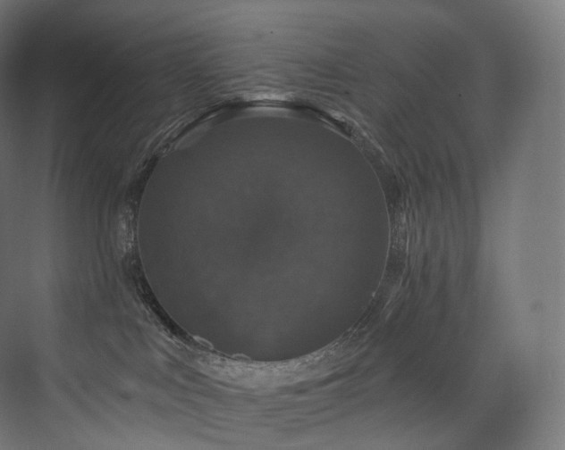 X0000074040043200608211530