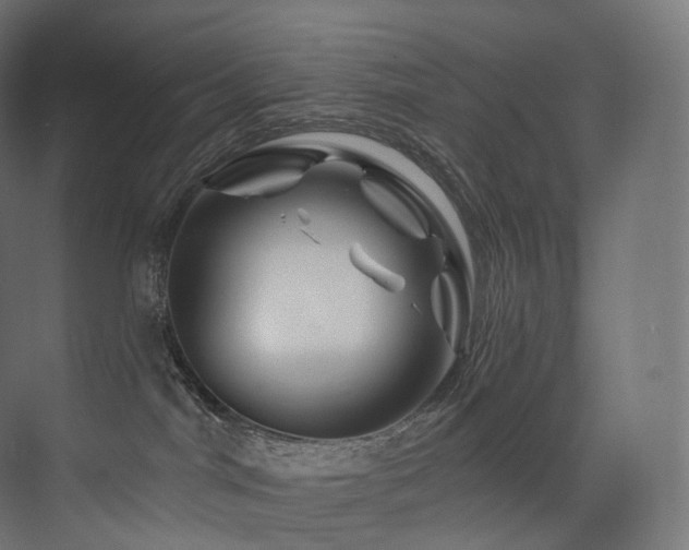 X0000074040044200608211530