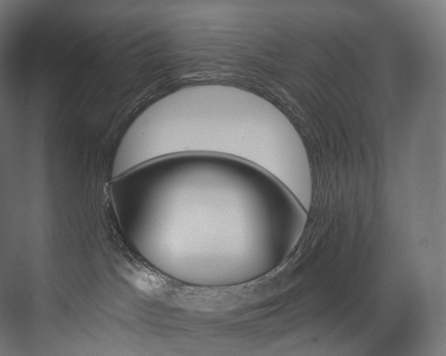 X0000074040045200608211530