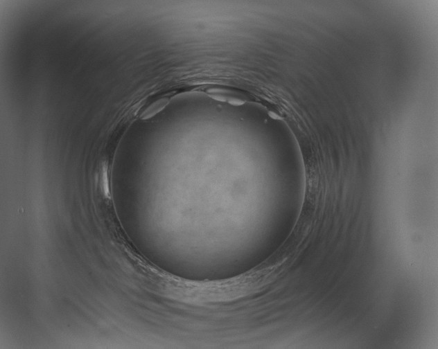 X0000074040046200608211530