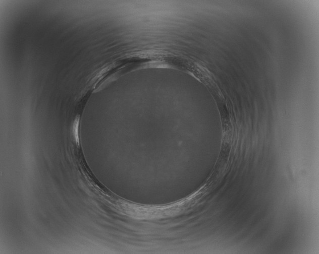 X0000074040047200608211530