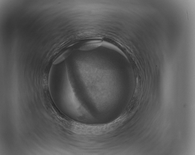 X0000074040048200608211530