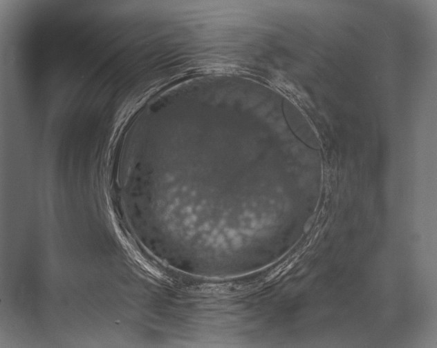 X0000074040049200608211529