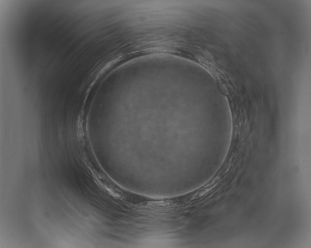 X0000074040050200608211529