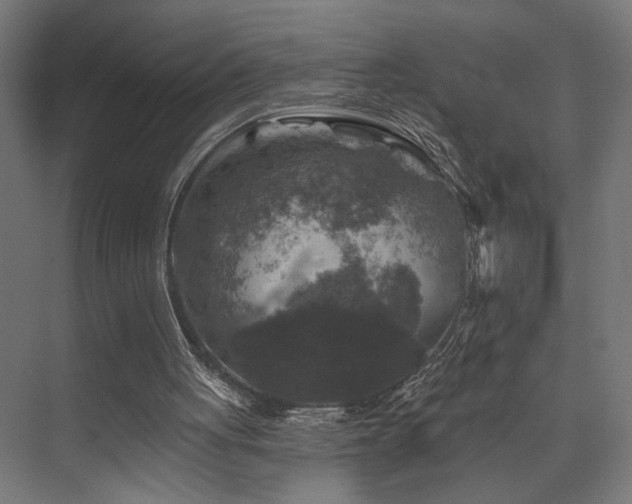 X0000074040051200608211529