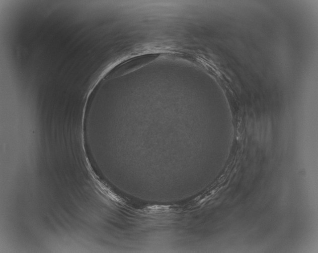 X0000074040052200608211529