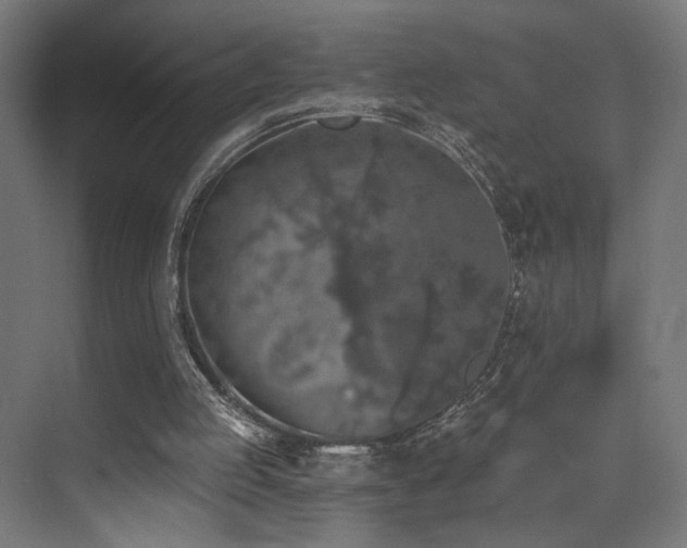 X0000074040053200608211529