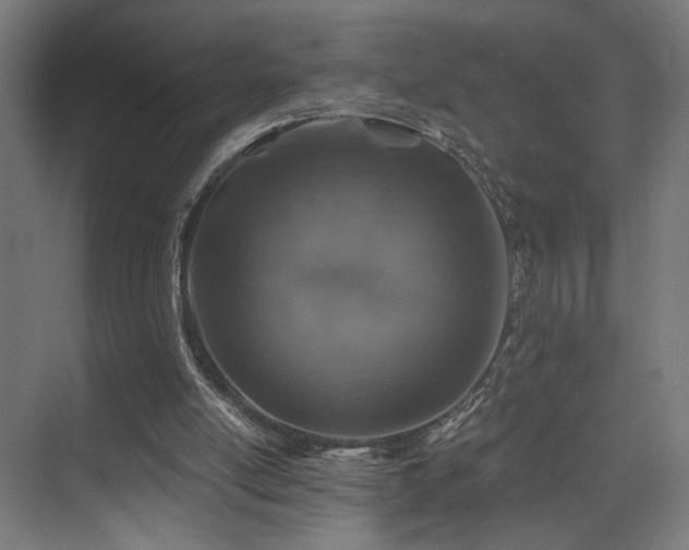 X0000074040054200608211529