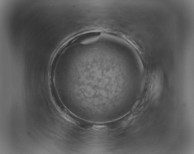 X0000074040055200608211529