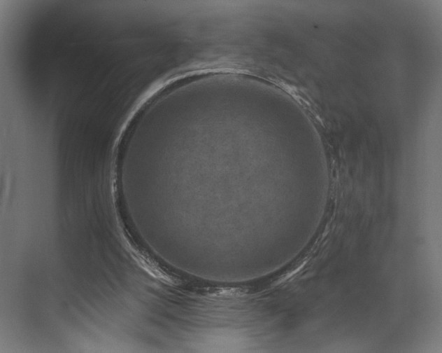 X0000074040056200608211529