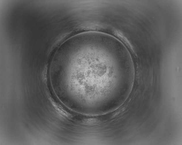 X0000074040058200608211529