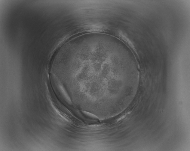 X0000074040059200608211529