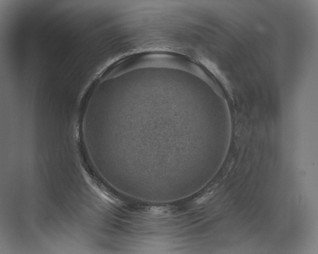 X0000074040060200608211529