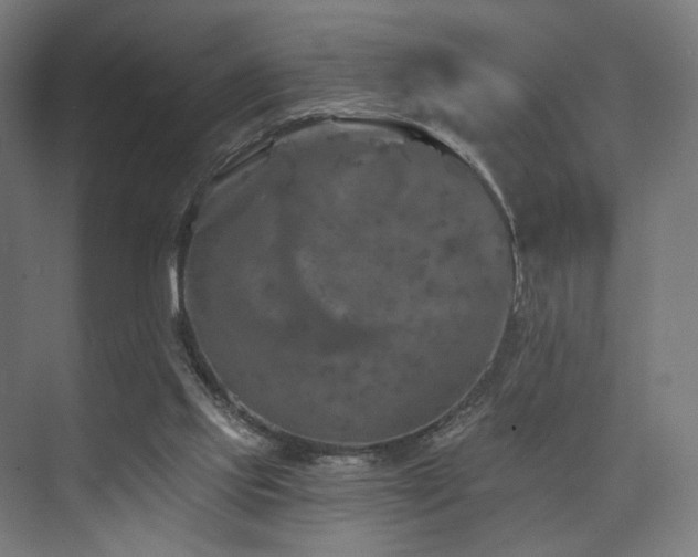 X0000074040061200608211529