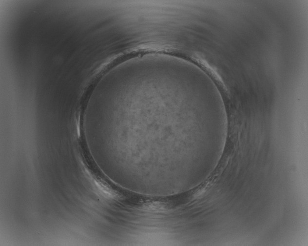 X0000074040062200608211529