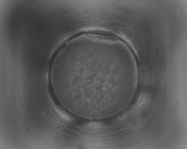 X0000074040063200608211529