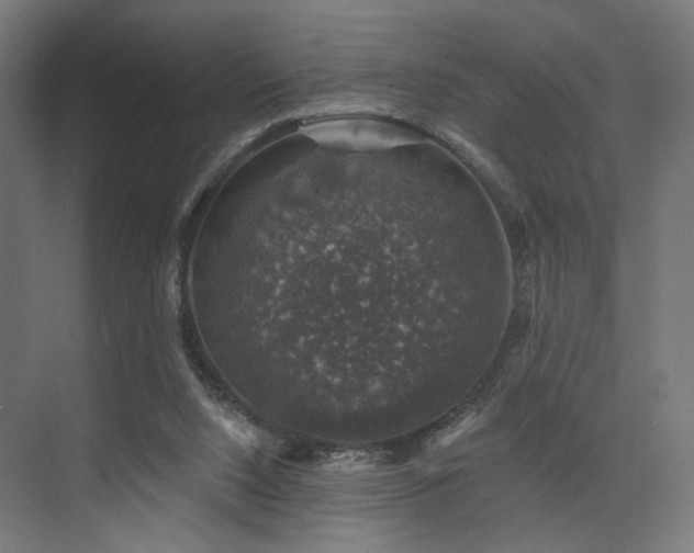 X0000074040064200608211529