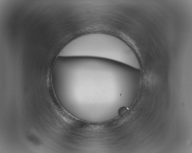 X0000074040065200608211529